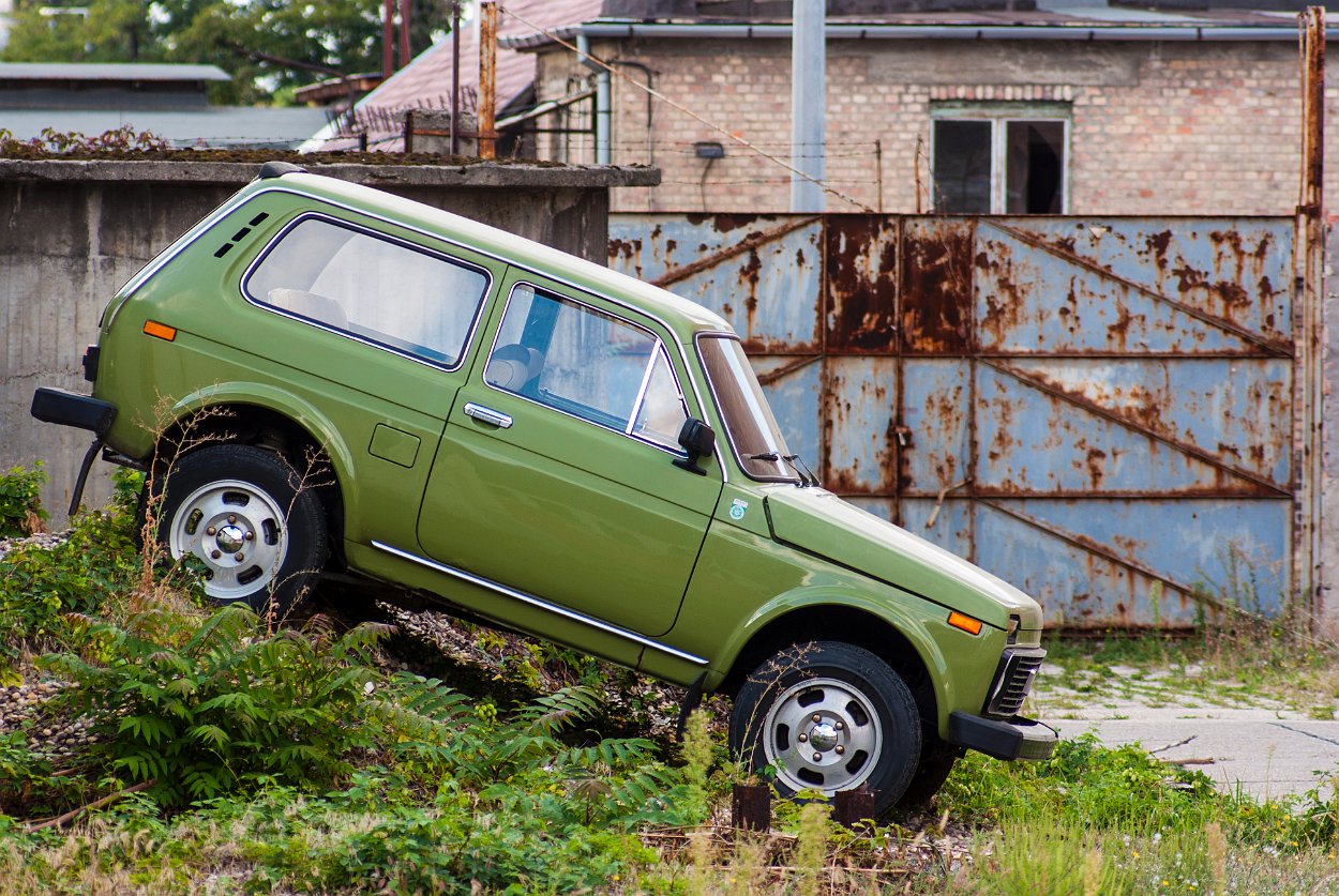 Нива зеленая фото